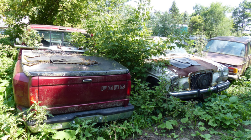 Illustration for article titled A Michigan Town Is Forcing This Man To Sell 20 Old Cars Off His Property Every Month